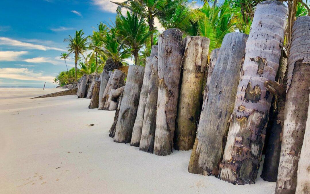 Speciale ZANZIBAR