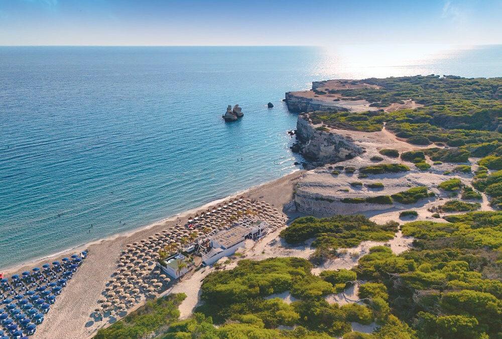 FUTURA CLUB ORIGINAL BARONE DI MARE