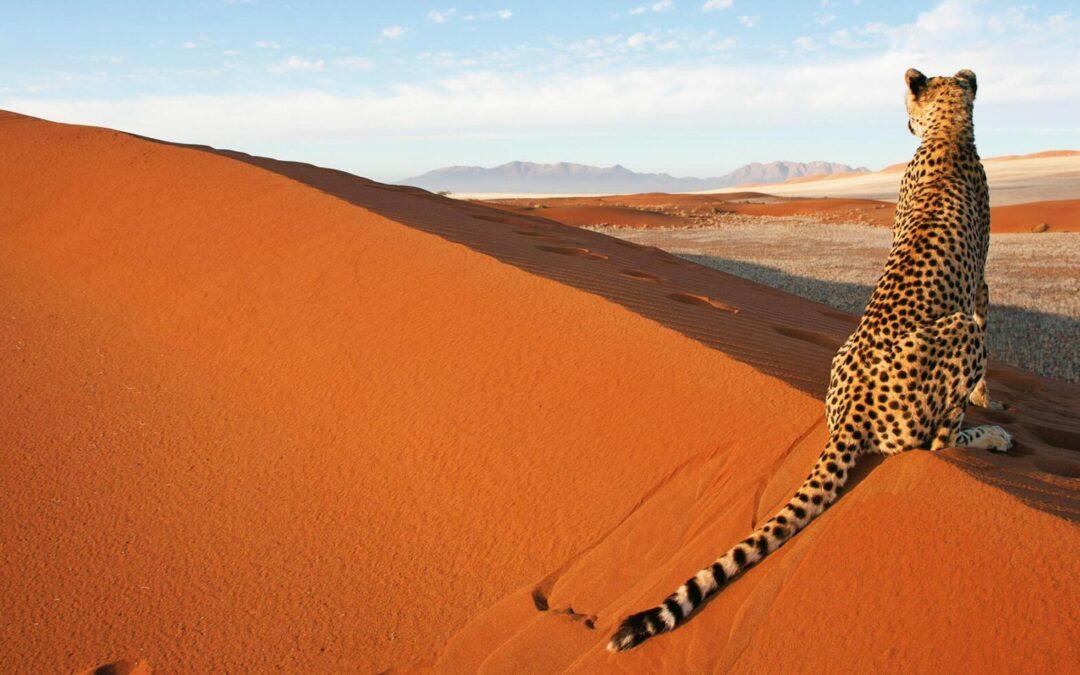 NAMIBIA