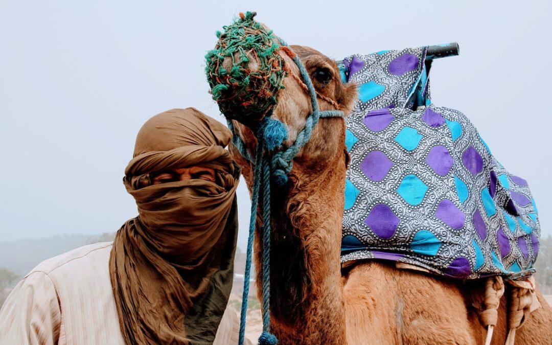 MAROCCO, TOUR DELLE CITTA’ IMPERIALI