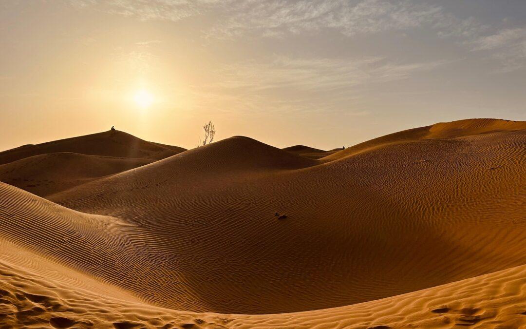 SULTANATO DELL’OMAN