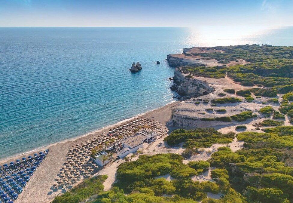 FUTURA CLUB ORIGINAL BARONE DI MARE