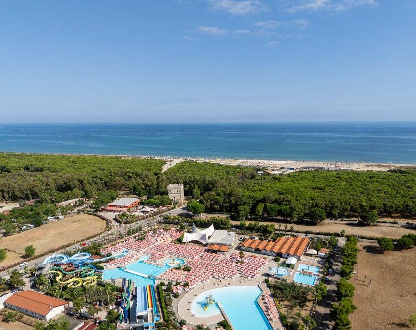 FUTURA CLUB ORIGINAL ALBATROS