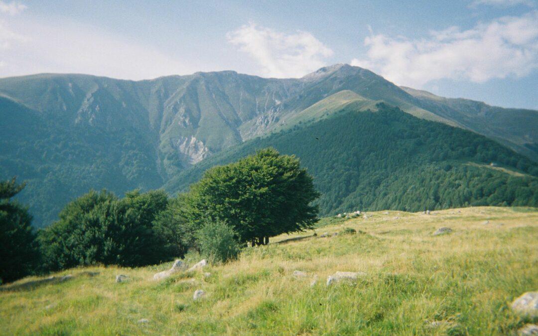 CAPODANNO IN VALCAMONICA